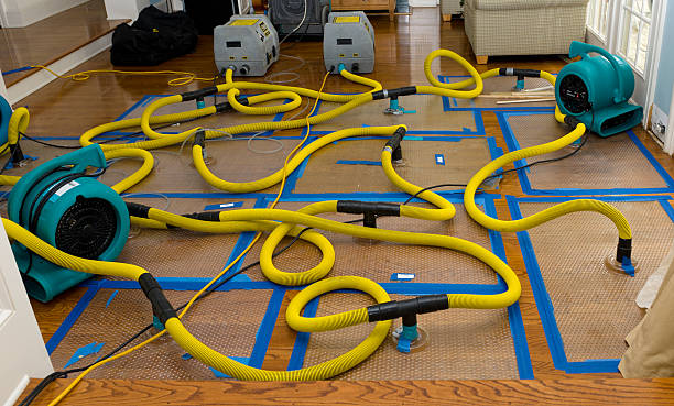 Professional Basement Flood Cleanup technician working in Luttrell, TN